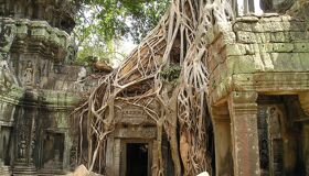 Angkor Temples and Door Cambodia